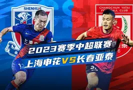 风云突变上海申花集结日主帅复盘，足总杯版图或变，赛场秩序良好，轮换策略成焦点的简单介绍